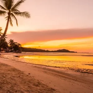 Reasons Why Goa Is An Amazing Holiday Destination In India