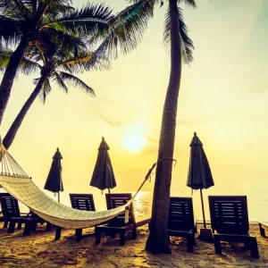 A Local’s Guide to Goa: 6 Essential Experiences