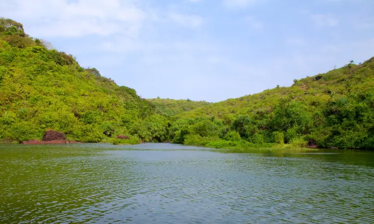 Arambol Sweet Water Lake