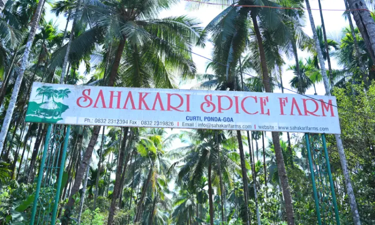 Sahakari Spice Plantation