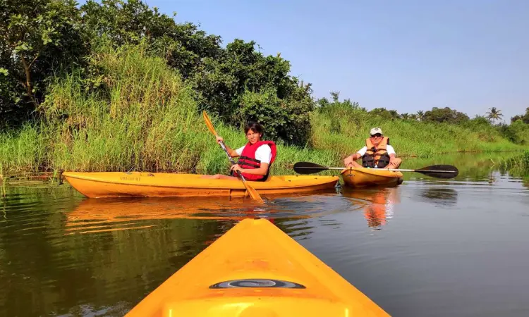 Sal Backwaters