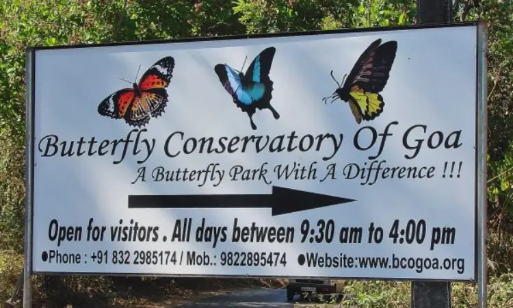 The Butterfly Conservatory