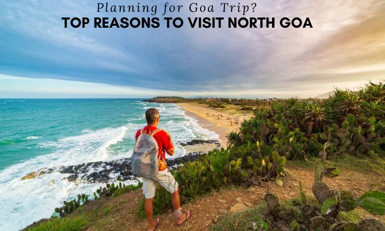 Planning for Goa Trip? Top Reasons to Visit North Goa