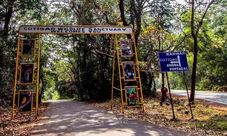 Cotigao Wildlife Sanctuary Goa