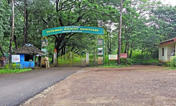 Netravali Wildlife Sanctuary Goa